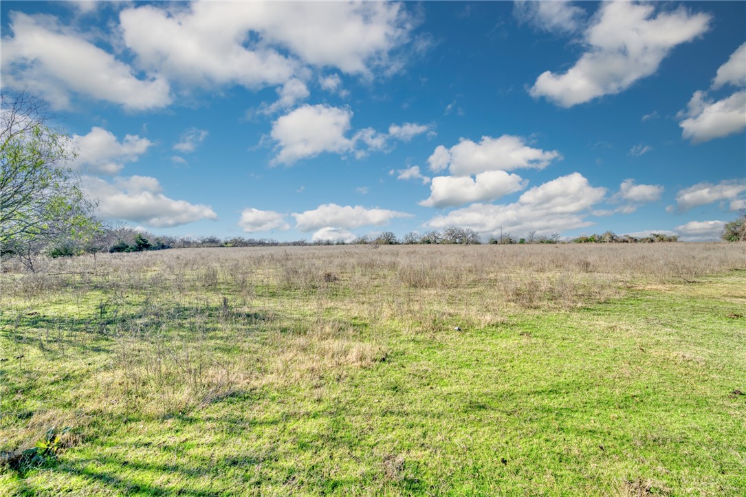 6557 W Highway 21 Highway W , Madisonville, TX, 77864 | 25000645 | Realty Texas LLC