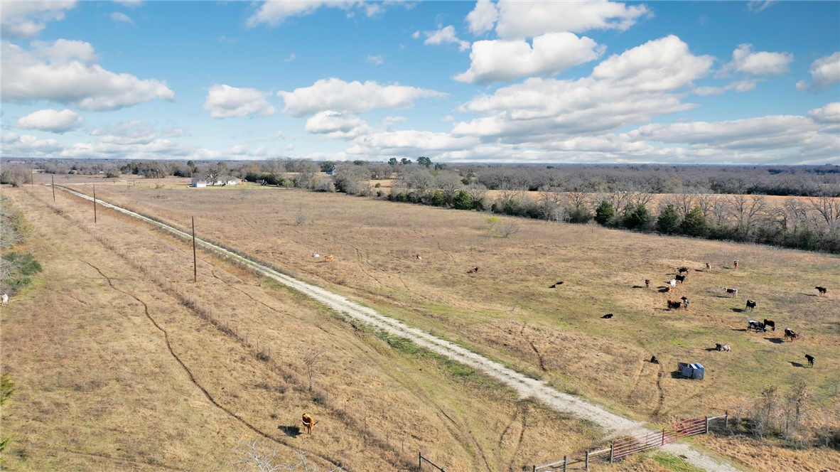 6557 W Highway 21 Highway W , Madisonville, TX, 77864 | 25000645 | Realty Texas LLC