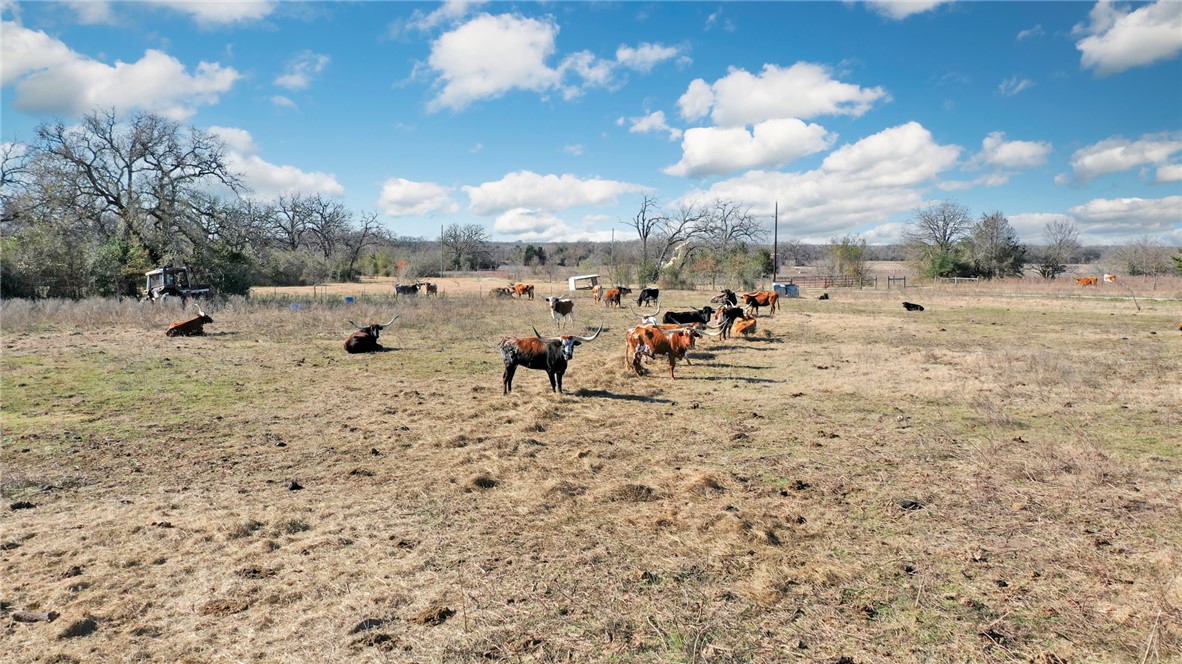 6557 W Highway 21 Highway W , Madisonville, TX, 77864 | 25000645 | Realty Texas LLC