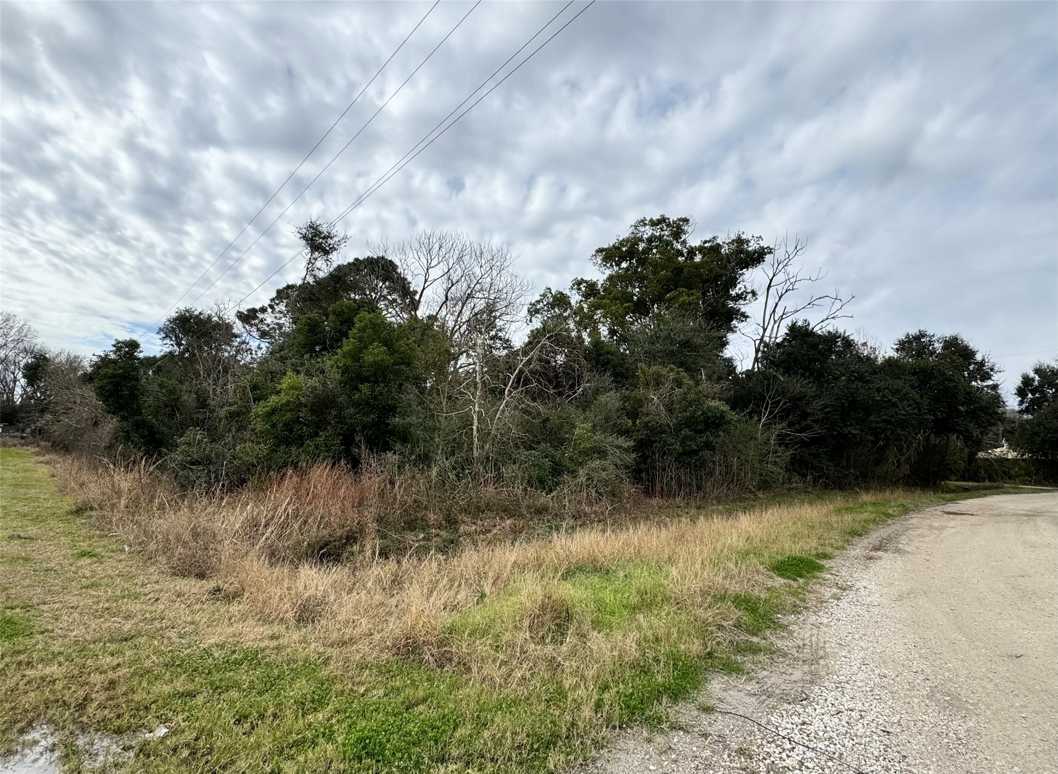 LOT 9 Shannon, Hitchcock, TX, 77563 | 17444719 | Realty Texas LLC