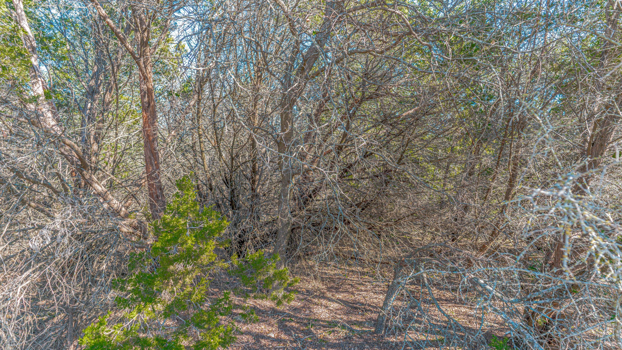 21051 Hill Terrace Court, Whitney, TX, 76692 | 20820344 | Realty Texas LLC