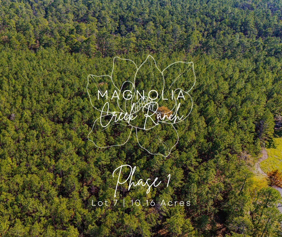 017 Magnolia Ranch Road, Onalaska, TX, 77360 | 66454260 | Realty Texas LLC