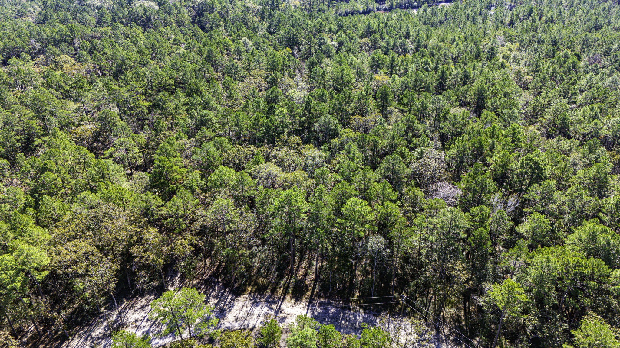 017 Magnolia Ranch Road, Onalaska, TX, 77360 | 66454260 | Realty Texas LLC