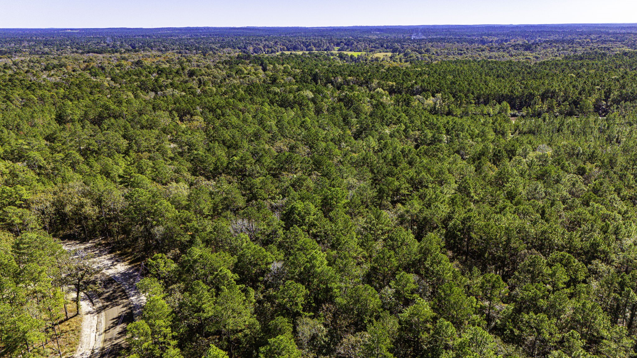 017 Magnolia Ranch Road, Onalaska, TX, 77360 | 66454260 | Realty Texas LLC