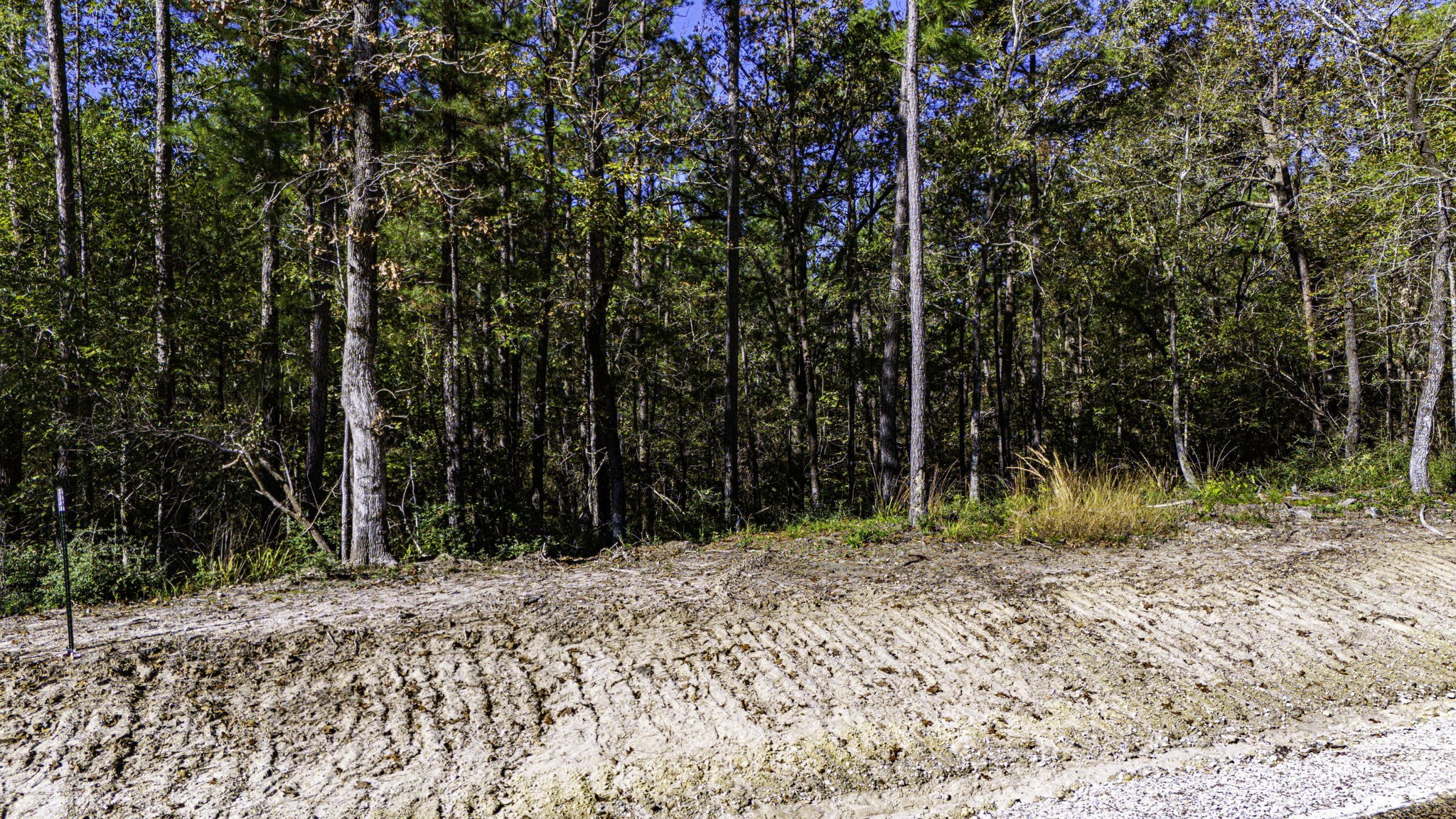 017 Magnolia Ranch Road, Onalaska, TX, 77360 | 66454260 | Realty Texas LLC