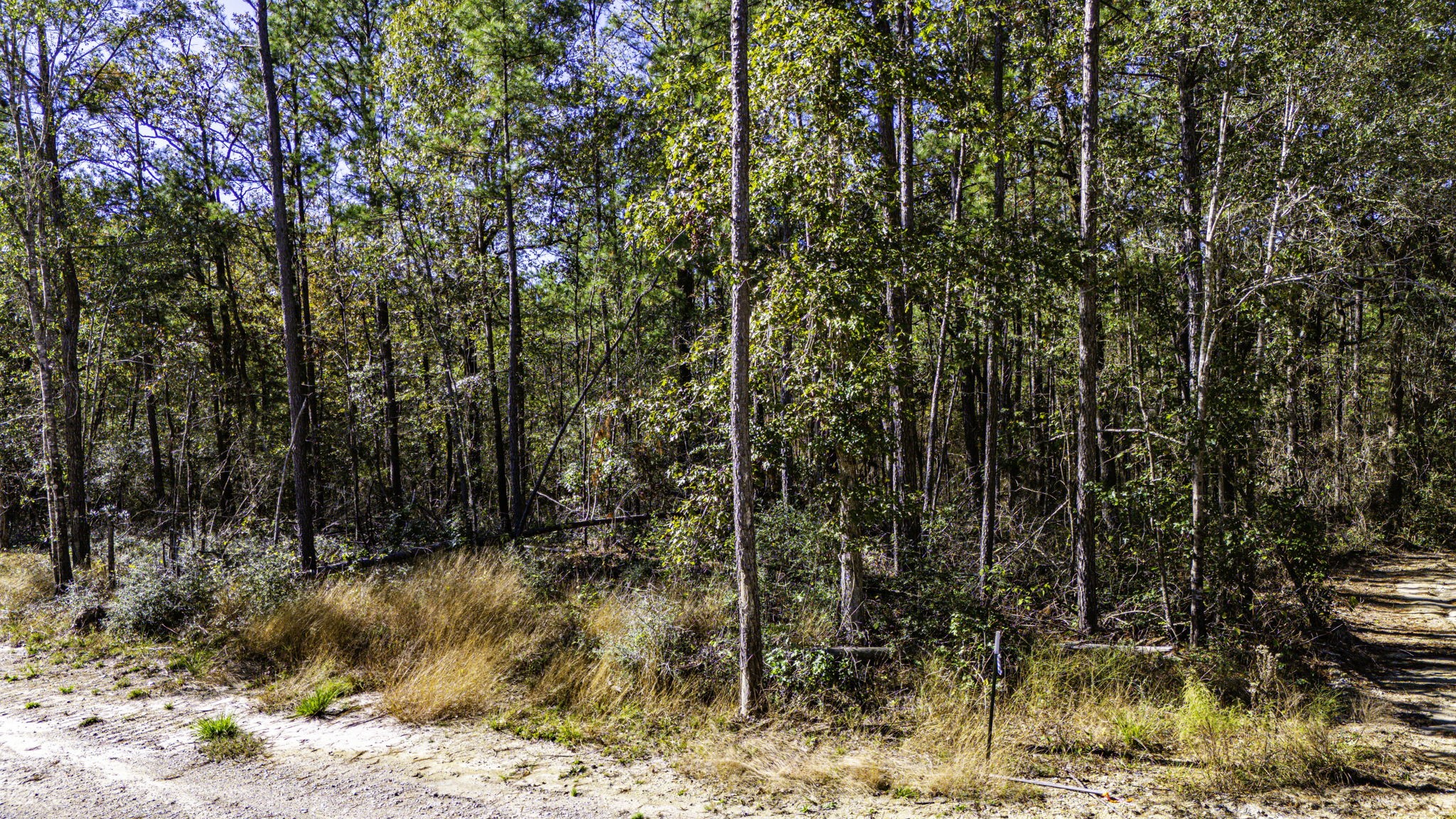 017 Magnolia Ranch Road, Onalaska, TX, 77360 | 66454260 | Realty Texas LLC