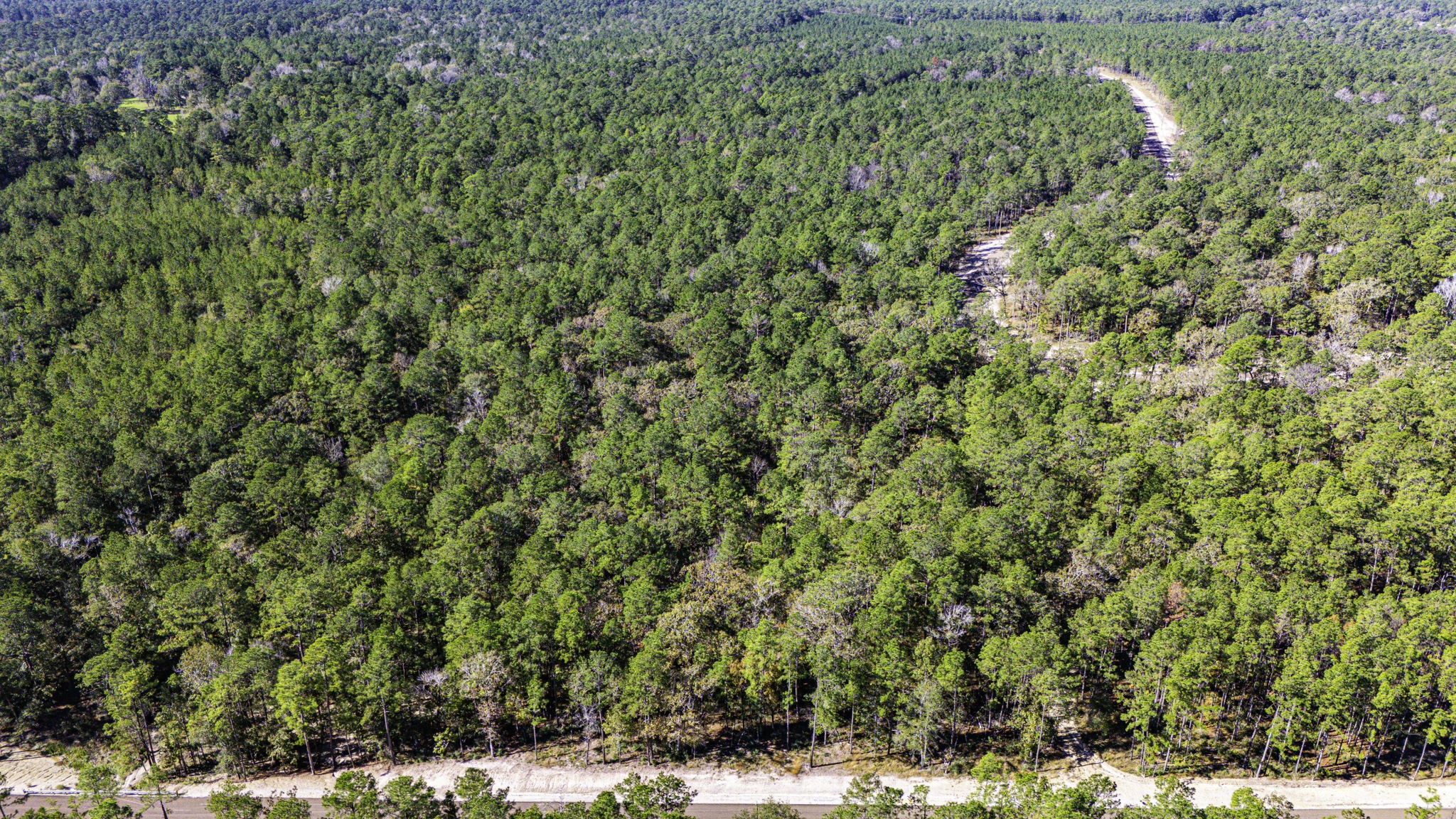 017 Magnolia Ranch Road, Onalaska, TX, 77360 | 66454260 | Realty Texas LLC