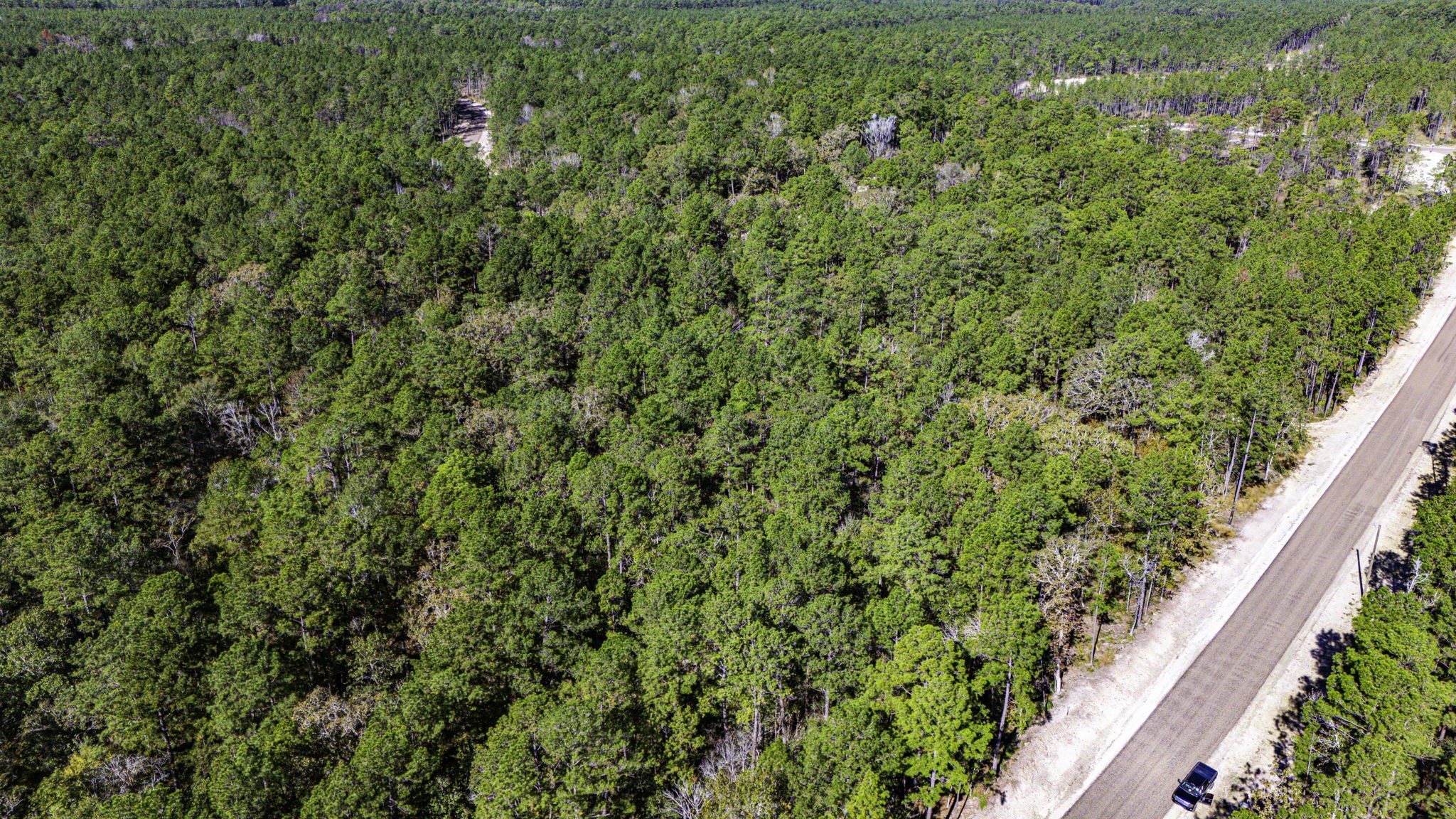 017 Magnolia Ranch Road, Onalaska, TX, 77360 | 66454260 | Realty Texas LLC