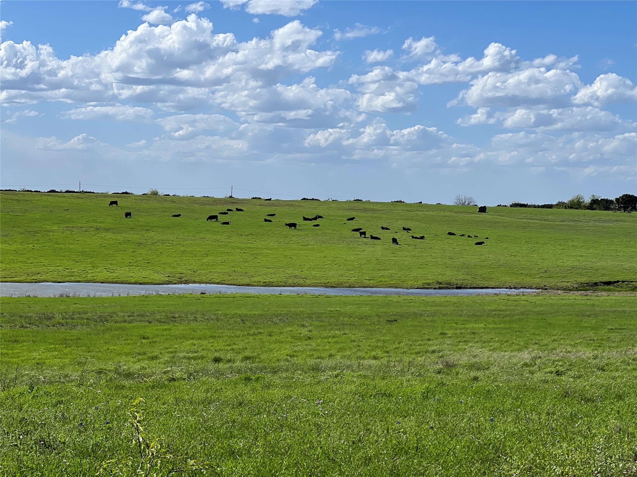 731 Fm-3049, Blum, TX, 76627 | 20820965 | Realty Texas LLC