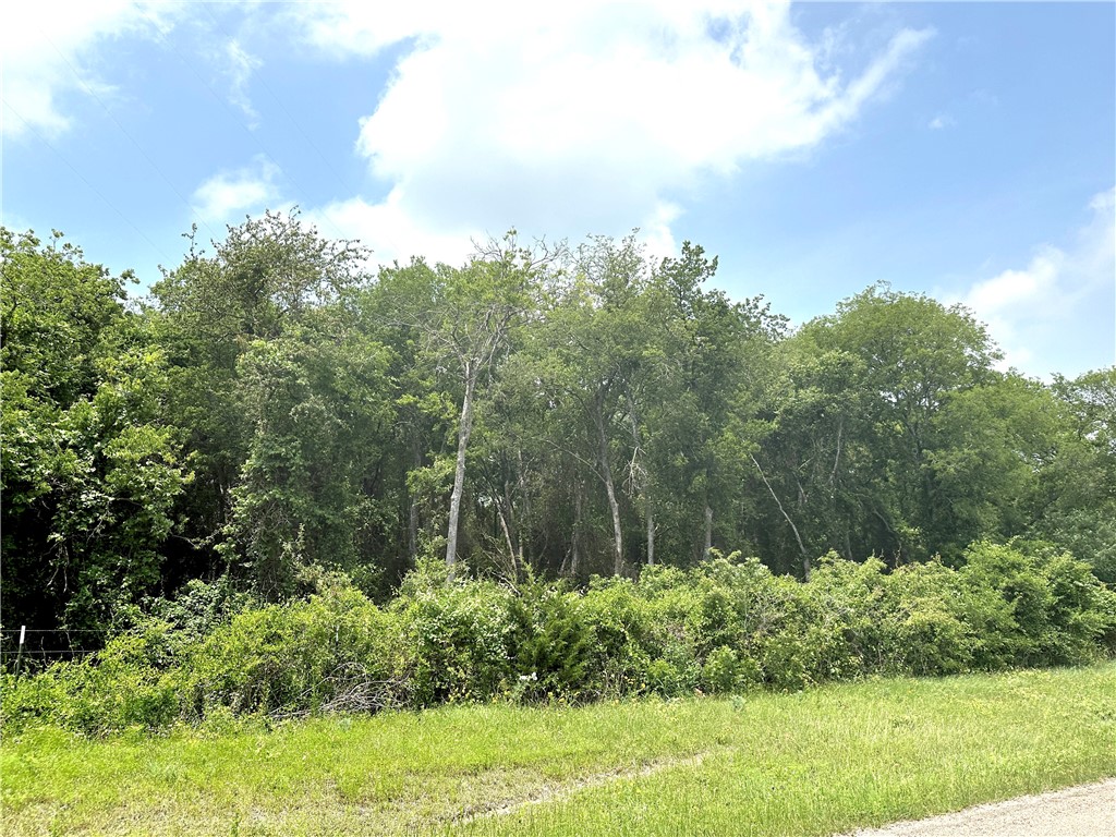 Tract 23 Remington Circle , Moody, TX, 76557 | 216364 | Realty Texas LLC