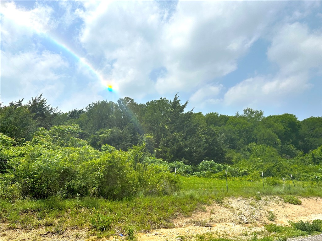 Tract 23 Remington Circle , Moody, TX, 76557 | 216364 | Realty Texas LLC