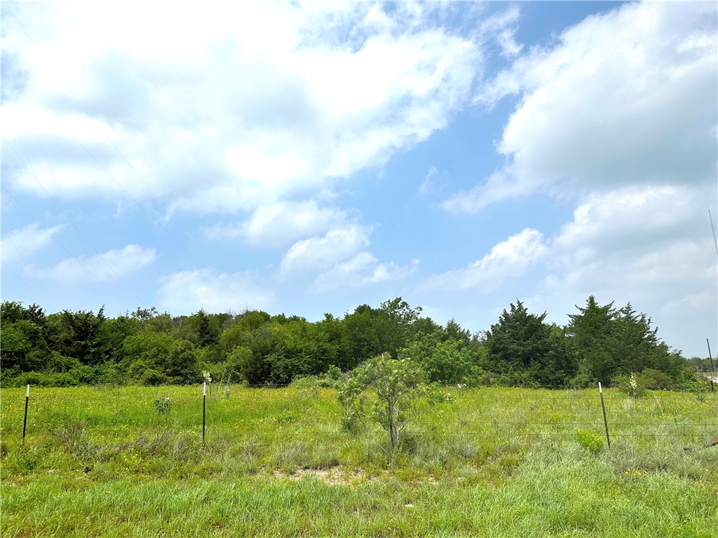 Tract 23 Remington Circle , Moody, TX, 76557 | 216364 | Realty Texas LLC