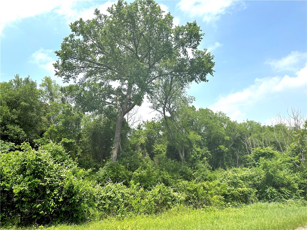 Tract 23 Remington Circle , Moody, TX, 76557 | 216364 | Realty Texas LLC
