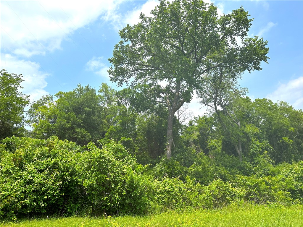 Tract 23 Remington Circle , Moody, TX, 76557 | 216364 | Realty Texas LLC