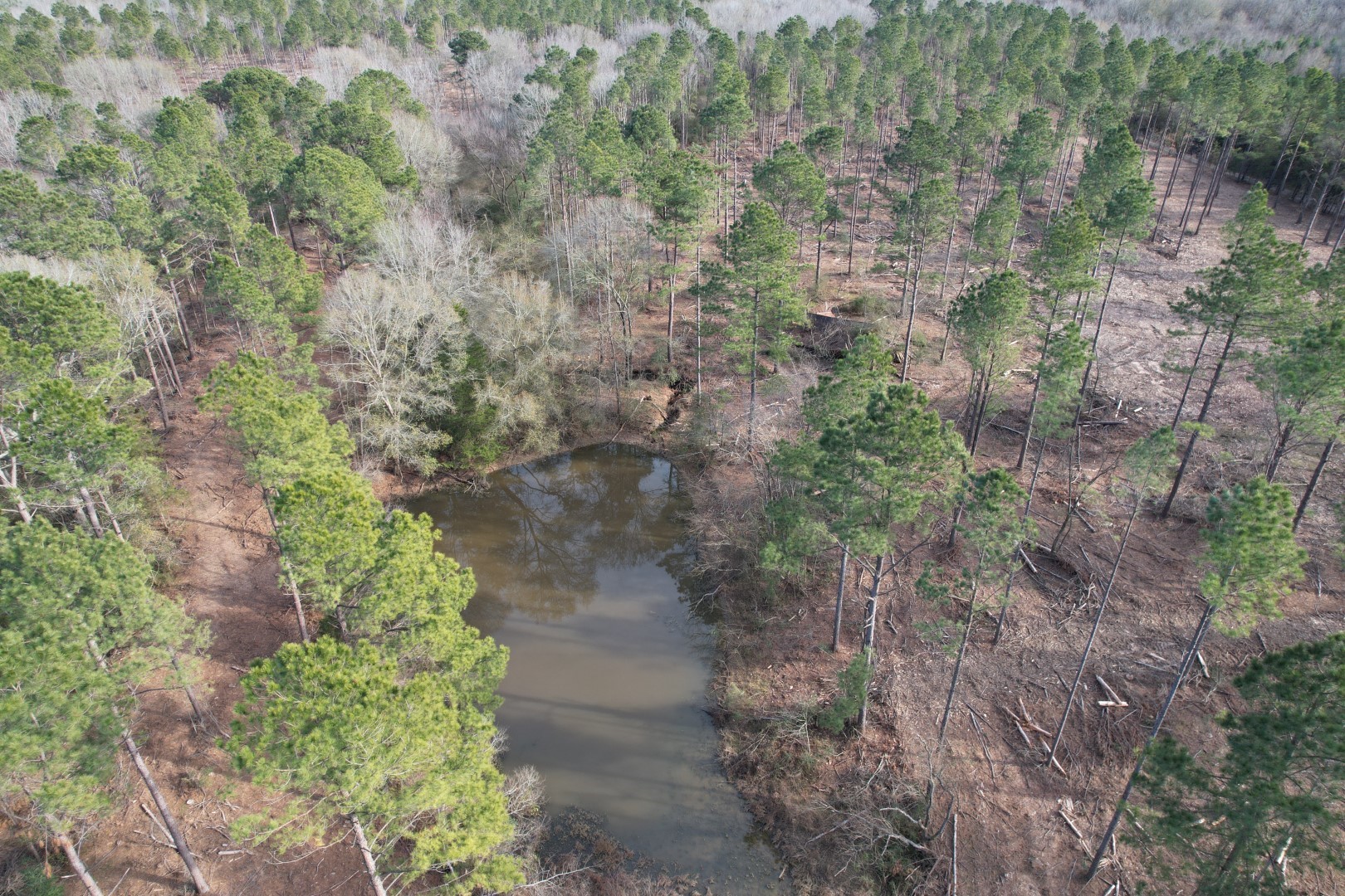 TRACT A County Road 4037 , Timpson, TX, 75975 | 16540312 | Realty Texas LLC