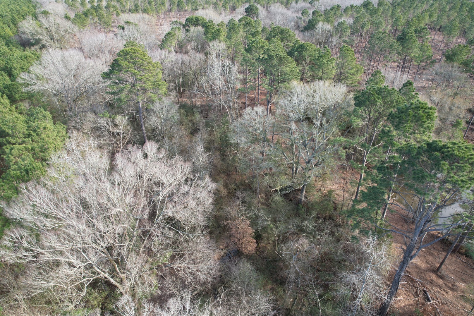 TRACT A County Road 4037 , Timpson, TX, 75975 | 16540312 | Realty Texas LLC