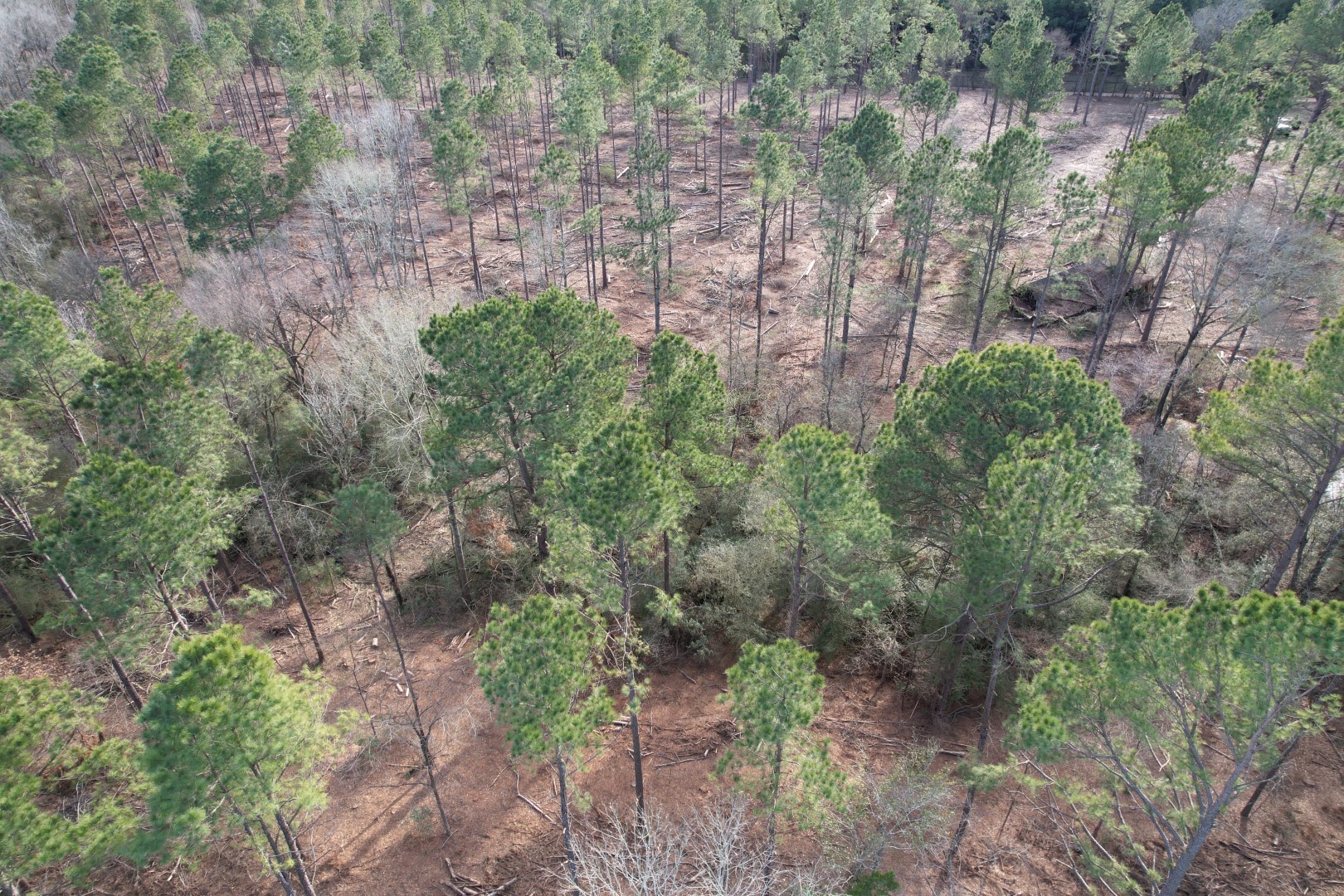 TRACT A County Road 4037 , Timpson, TX, 75975 | 16540312 | Realty Texas LLC