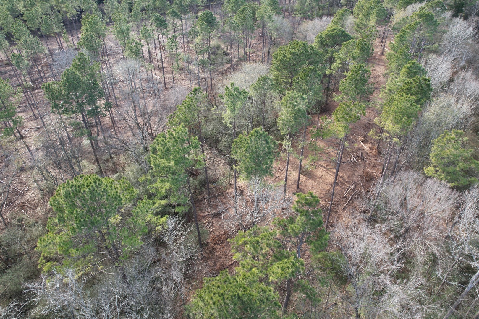 TRACT A County Road 4037 , Timpson, TX, 75975 | 16540312 | Realty Texas LLC