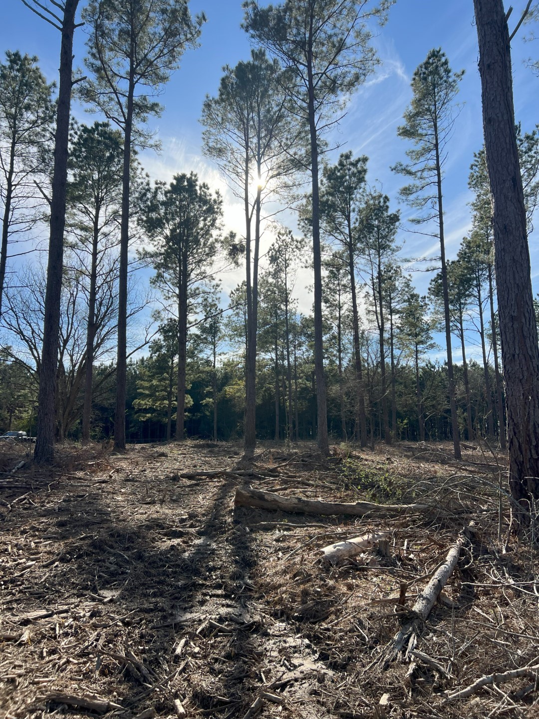 TRACT A County Road 4037 , Timpson, TX, 75975 | 16540312 | Realty Texas LLC