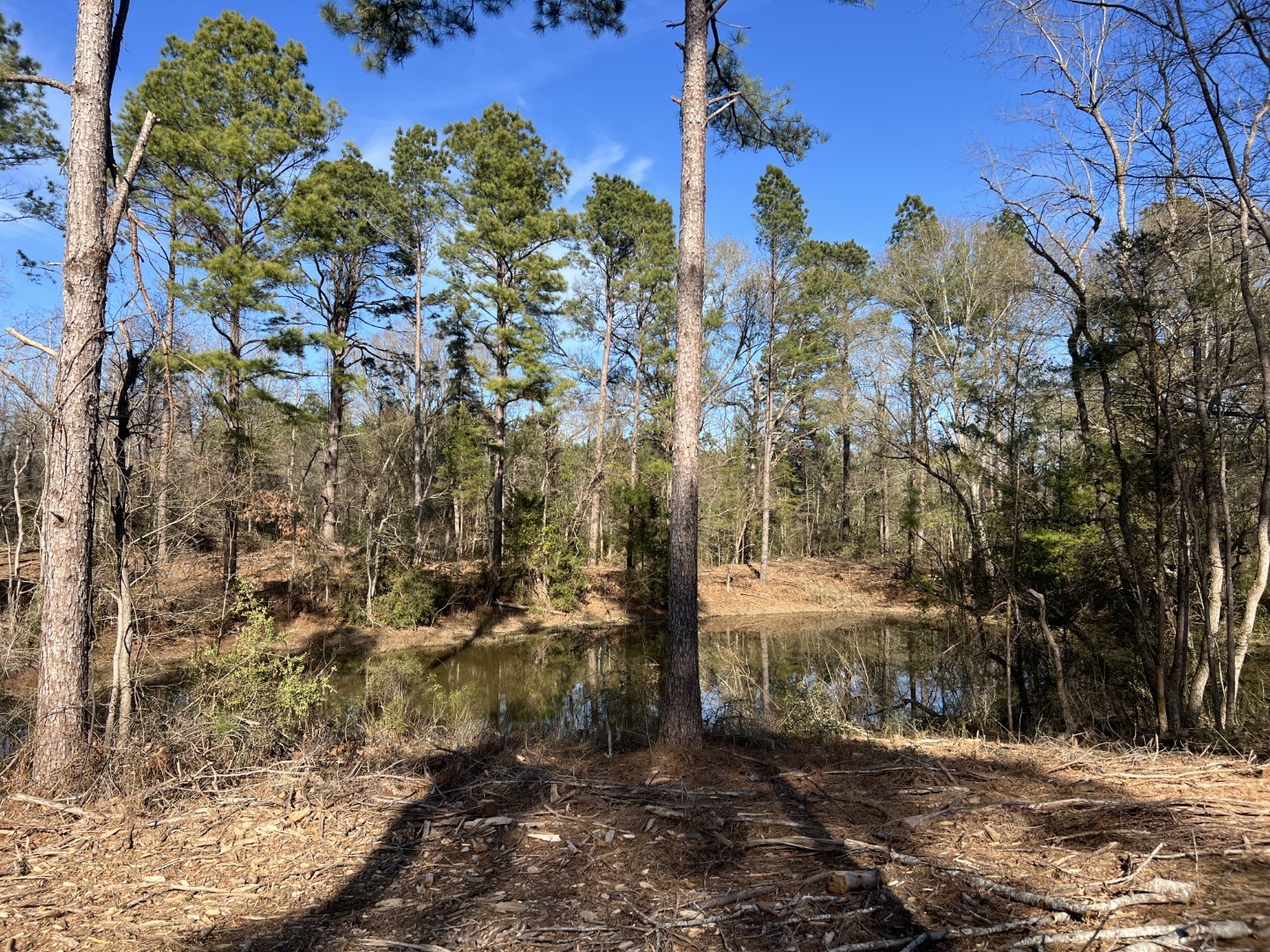 TRACT A County Road 4037 , Timpson, TX, 75975 | 16540312 | Realty Texas LLC