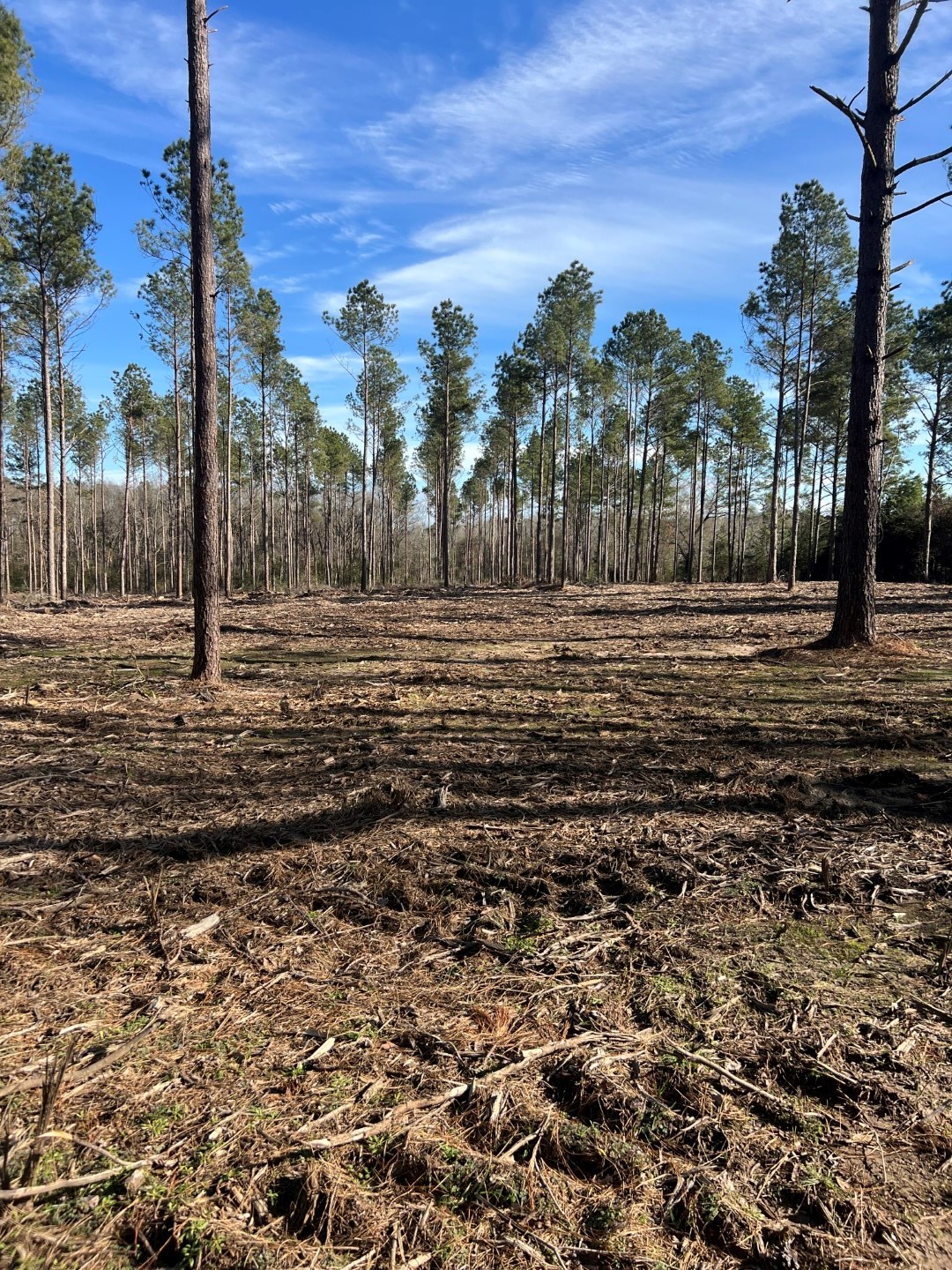 TRACT A County Road 4037 , Timpson, TX, 75975 | 16540312 | Realty Texas LLC