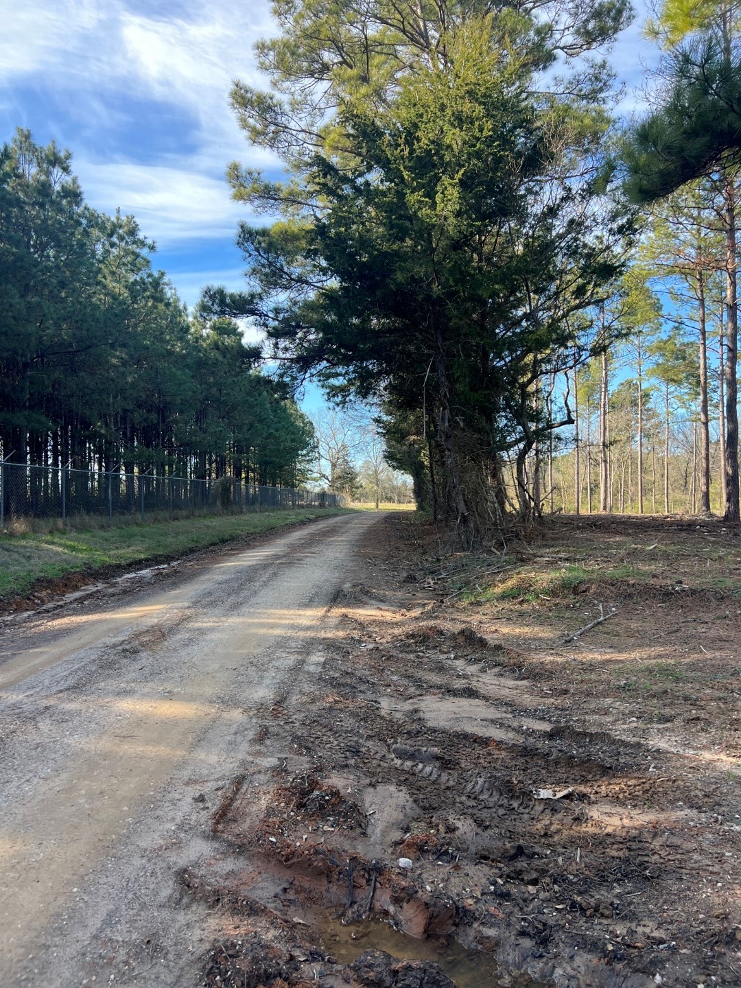 TRACT A County Road 4037 , Timpson, TX, 75975 | 16540312 | Realty Texas LLC