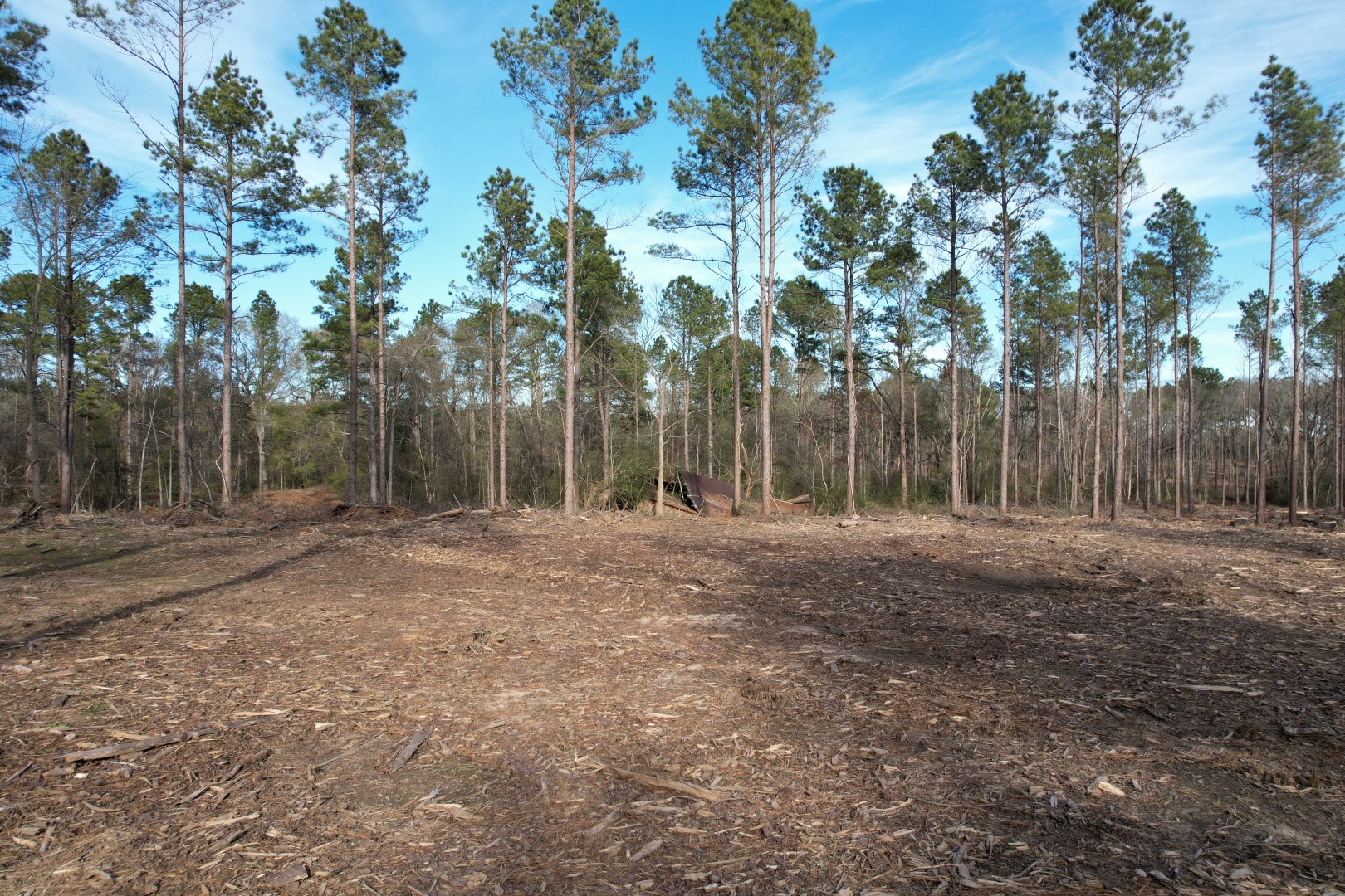 TRACT A County Road 4037 , Timpson, TX, 75975 | 16540312 | Realty Texas LLC