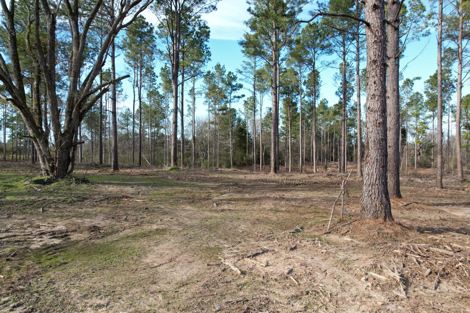 TRACT A County Road 4037 , Timpson, TX, 75975 | 16540312 | Realty Texas LLC