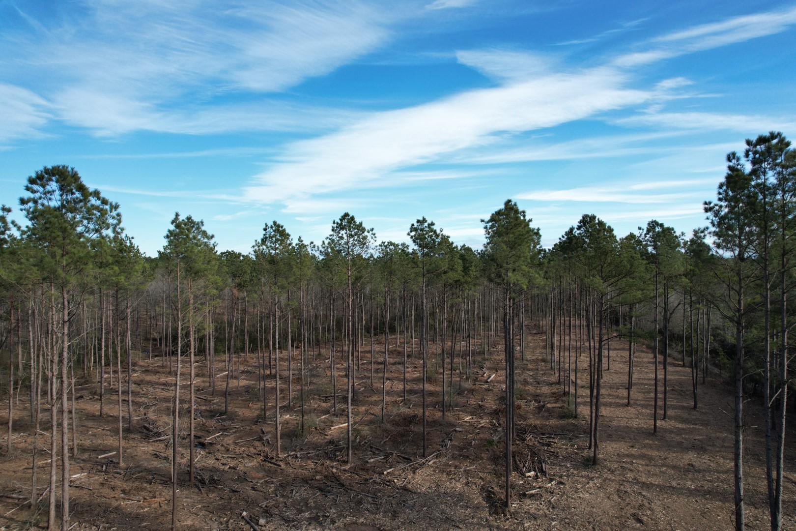 TRACT A County Road 4037 , Timpson, TX, 75975 | 16540312 | Realty Texas LLC