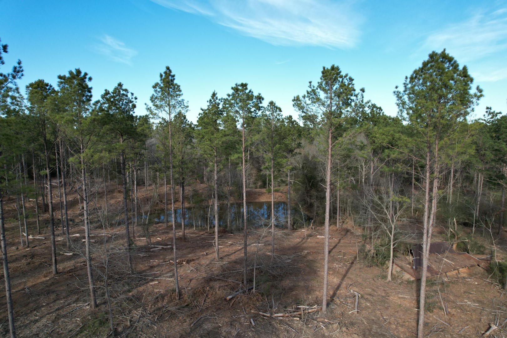 TRACT A County Road 4037 , Timpson, TX, 75975 | 16540312 | Realty Texas LLC