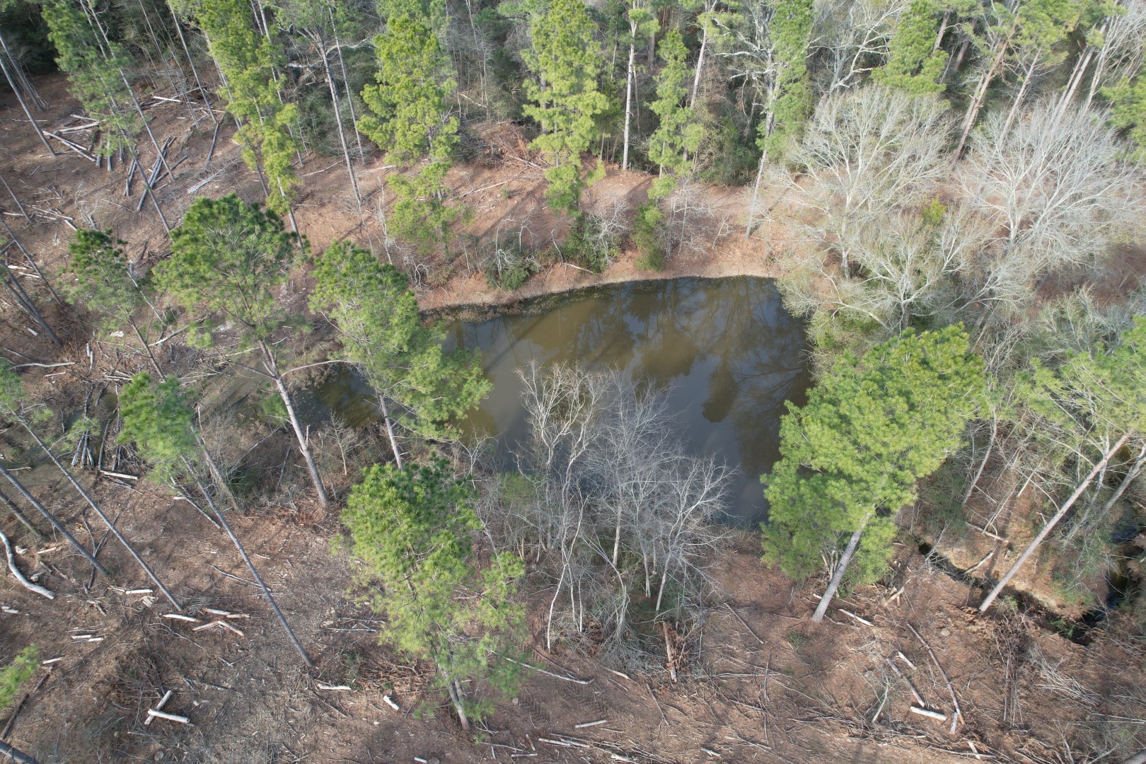 TRACT A County Road 4037 , Timpson, TX, 75975 | 16540312 | Realty Texas LLC