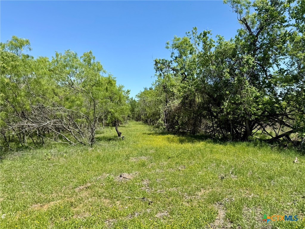 TBD Acorn Rd 3, Lockhart, TX, 78644 | 567595 | Realty Texas LLC