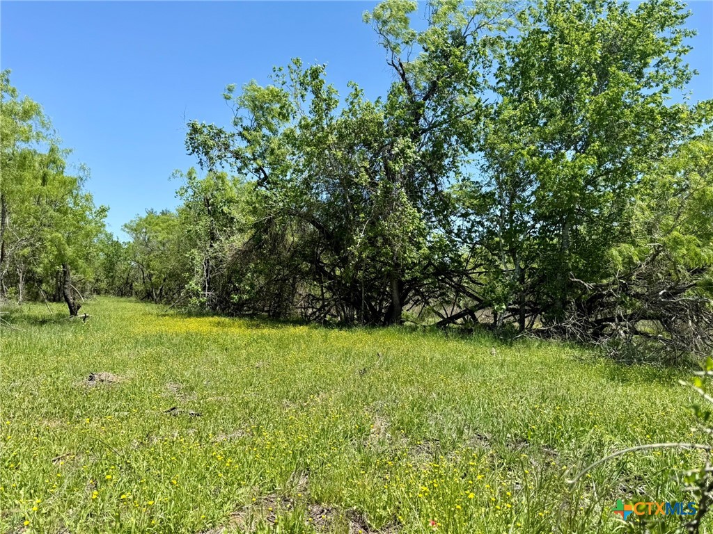 TBD Acorn Rd 3, Lockhart, TX, 78644 | 567595 | Realty Texas LLC