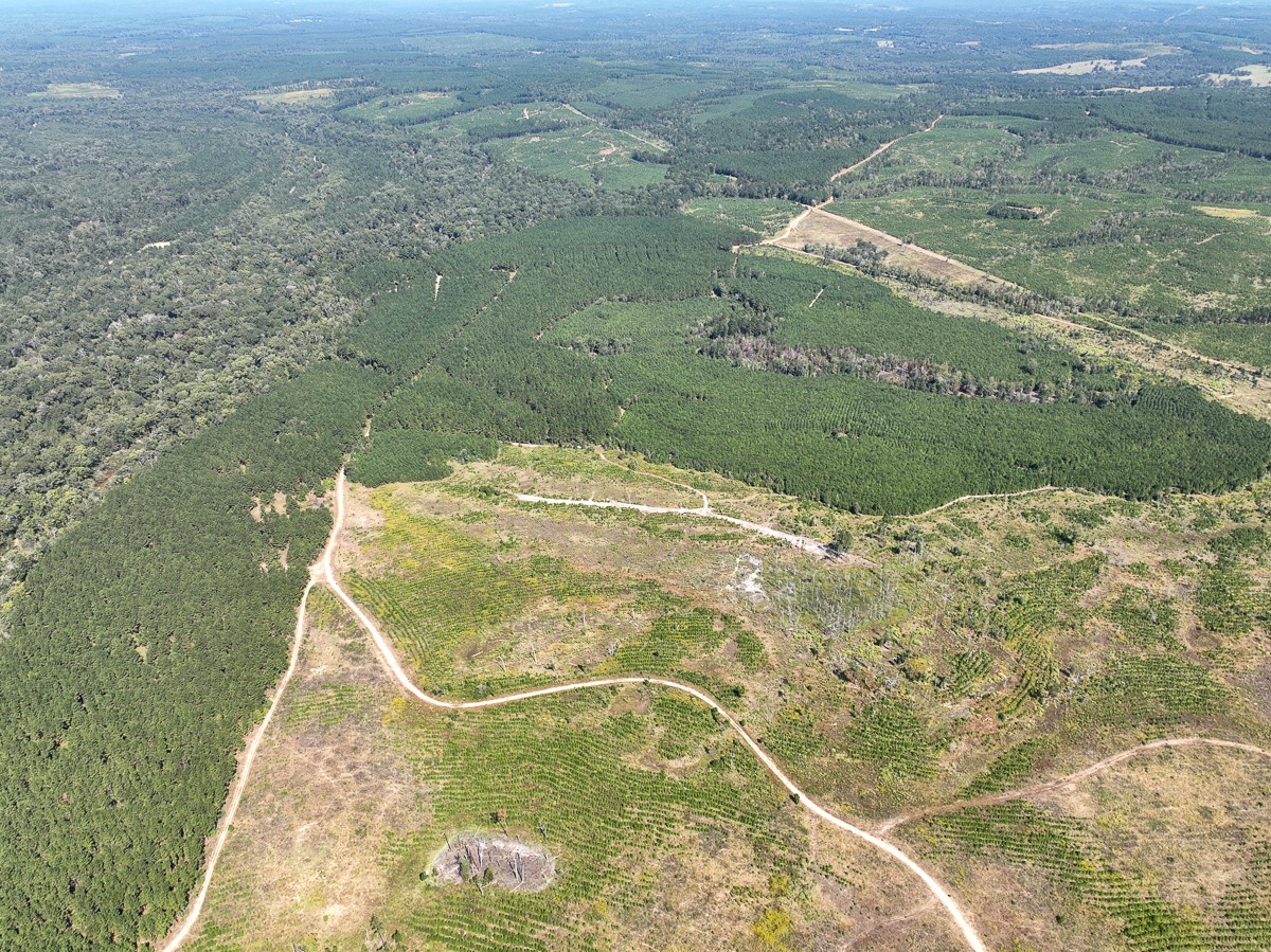 1 Off County Road 2925, Grapeland, TX, 75844 | 58535058 | Realty Texas LLC