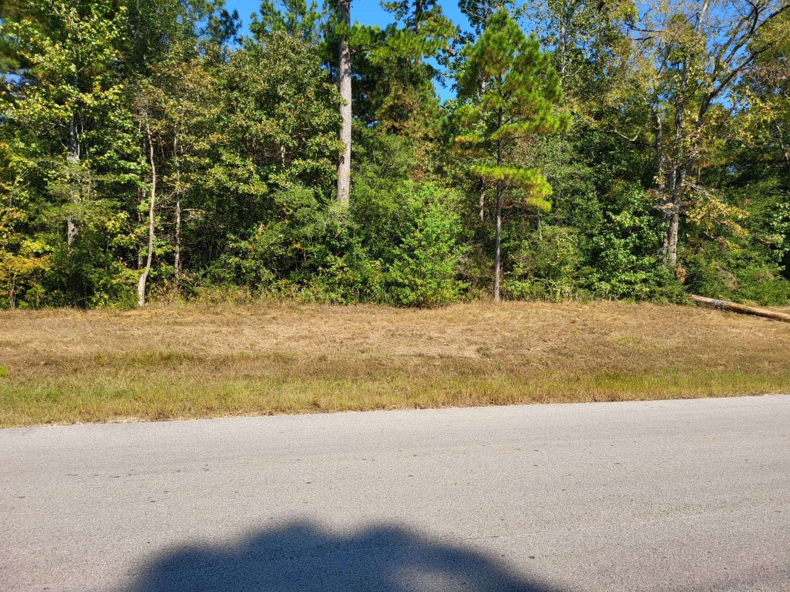 0000 Dipping Vat Road, Huntsville, TX, 77340 | 27719363 | Realty Texas LLC