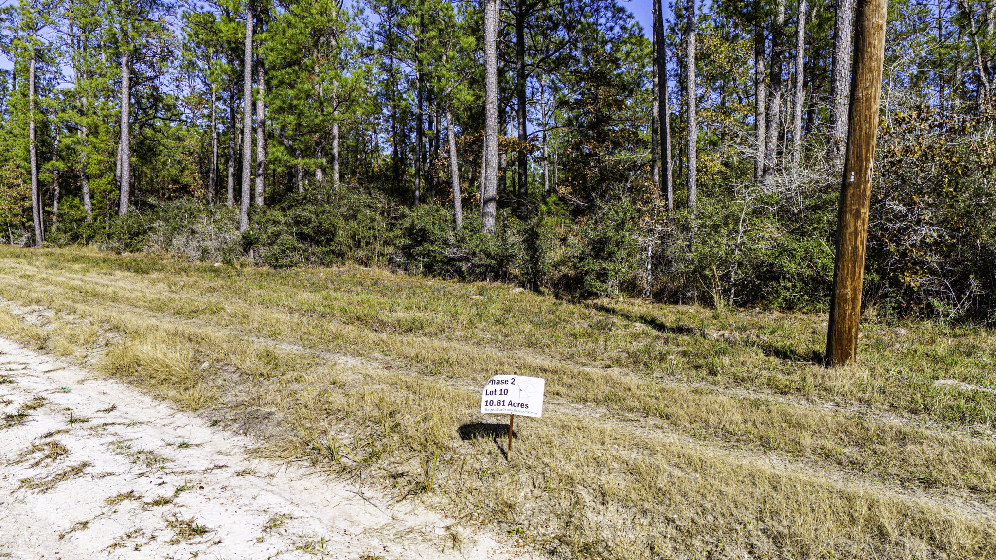 0210 SPORTSMAN RETREAT RD Road, Onalaska, TX, 77360 | 90351753 | Realty Texas LLC