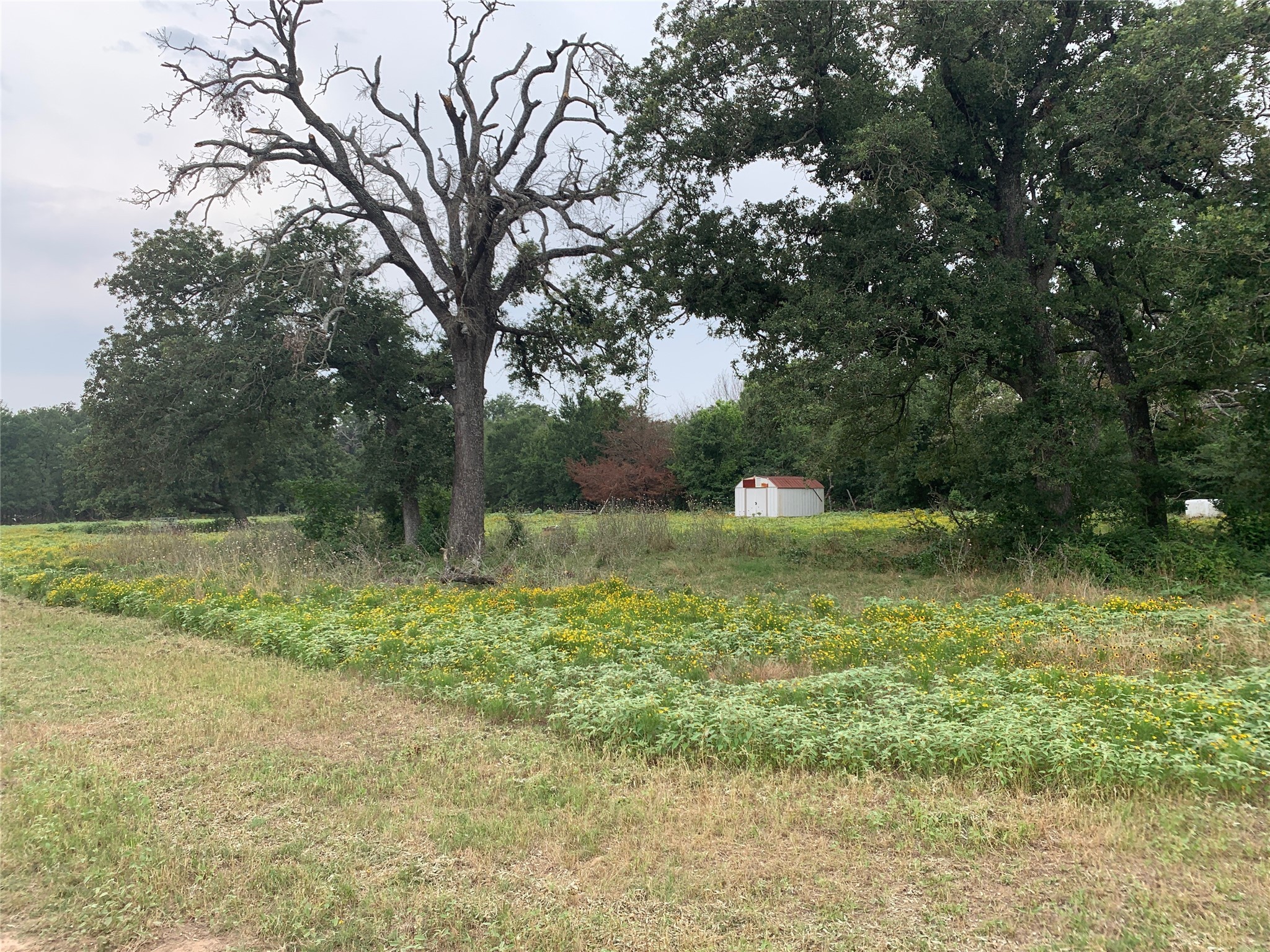 16109 FM 2159 , Bremond, TX, 76629 | 20825422 | Realty Texas LLC