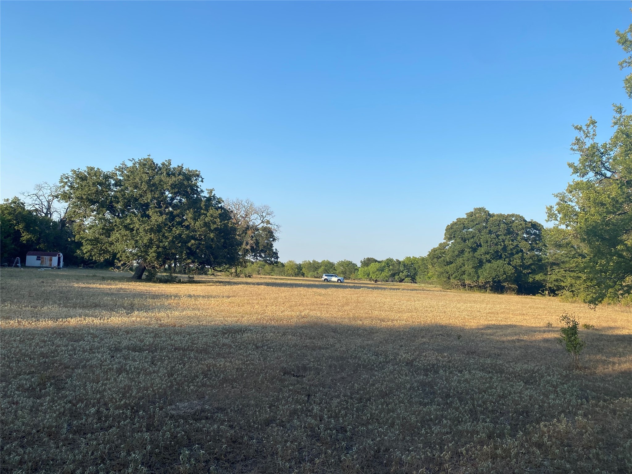 16109 FM 2159 , Bremond, TX, 76629 | 20825422 | Realty Texas LLC