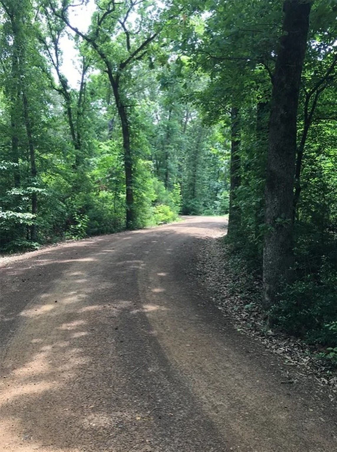 18 Lakeside Drive, Montalba, TX, 75853 | 76962840 | Realty Texas LLC