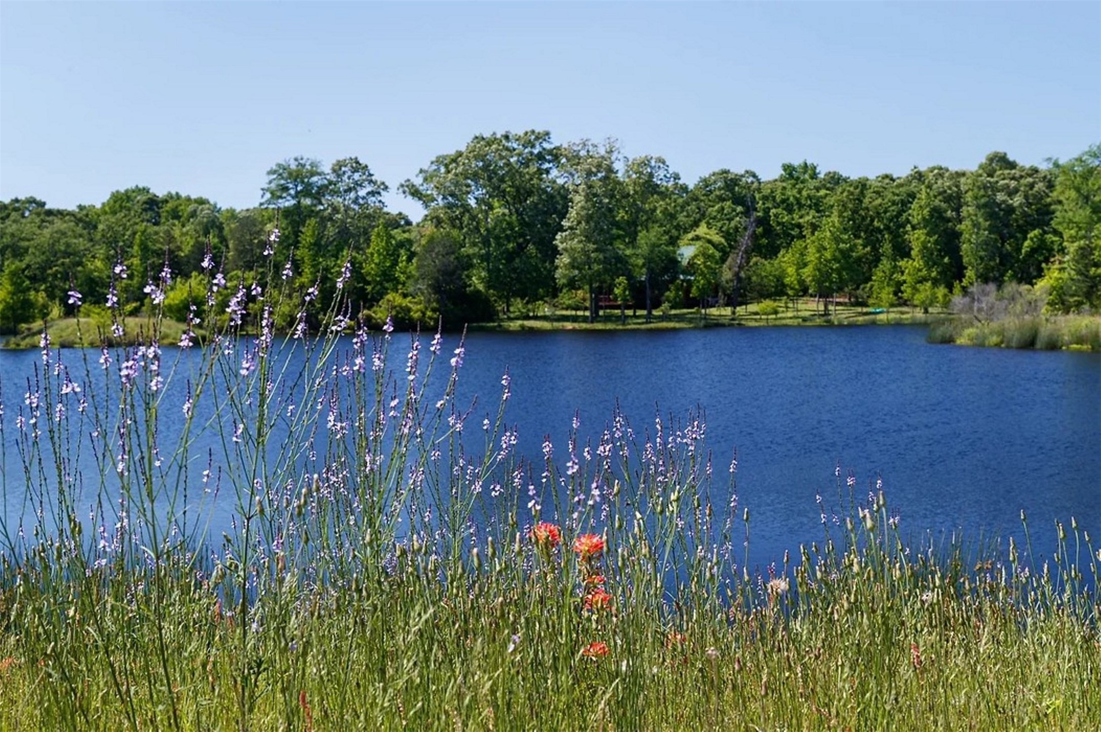 18 Lakeside Drive, Montalba, TX, 75853 | 76962840 | Realty Texas LLC