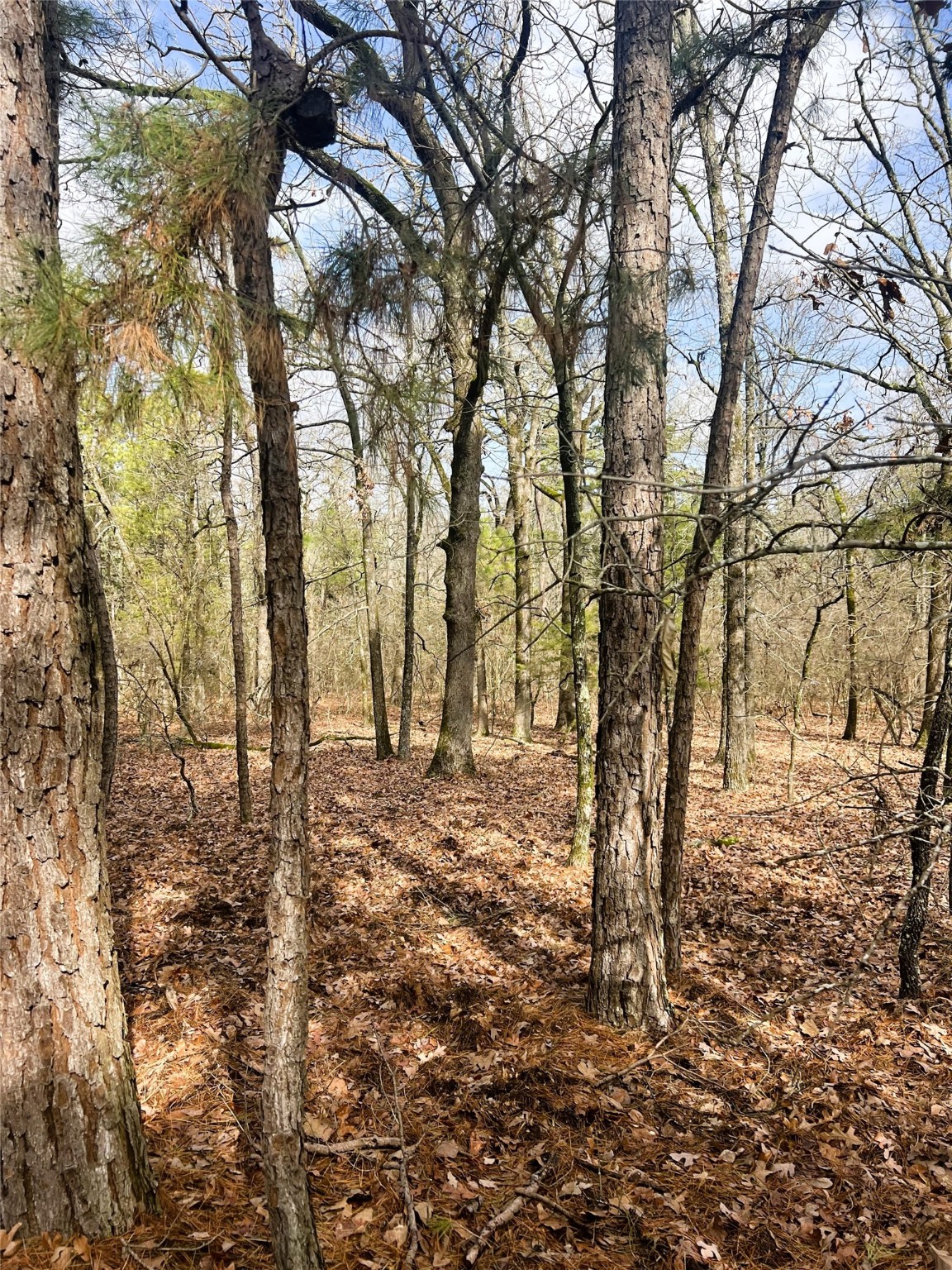 000 Private Road 8000, Winnsboro, TX, 75494 | 20828751 | Realty Texas LLC