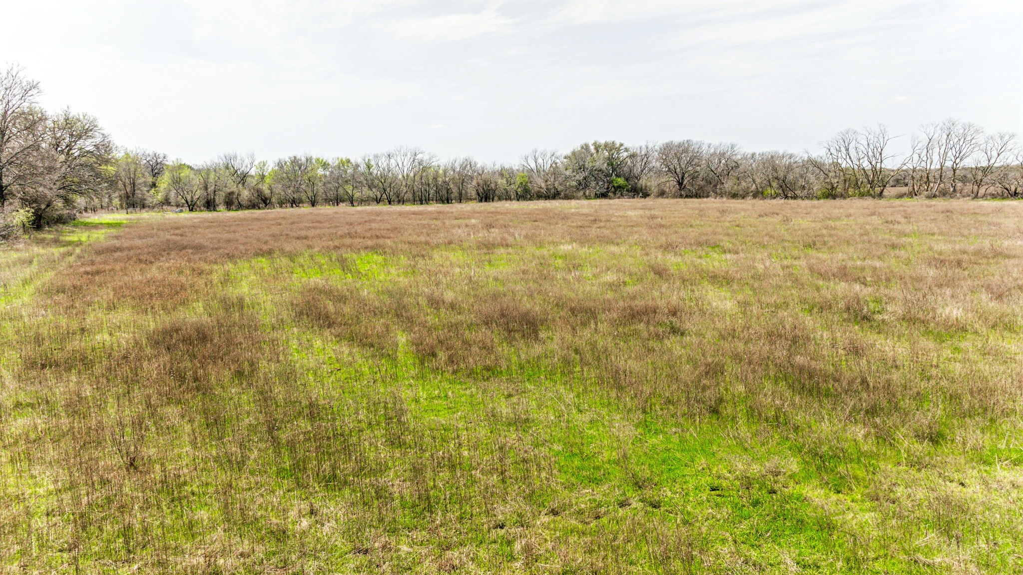 Lot 8 Ranches at Comanche Point , Hico, TX, 76457 | 20829135 | Realty Texas LLC