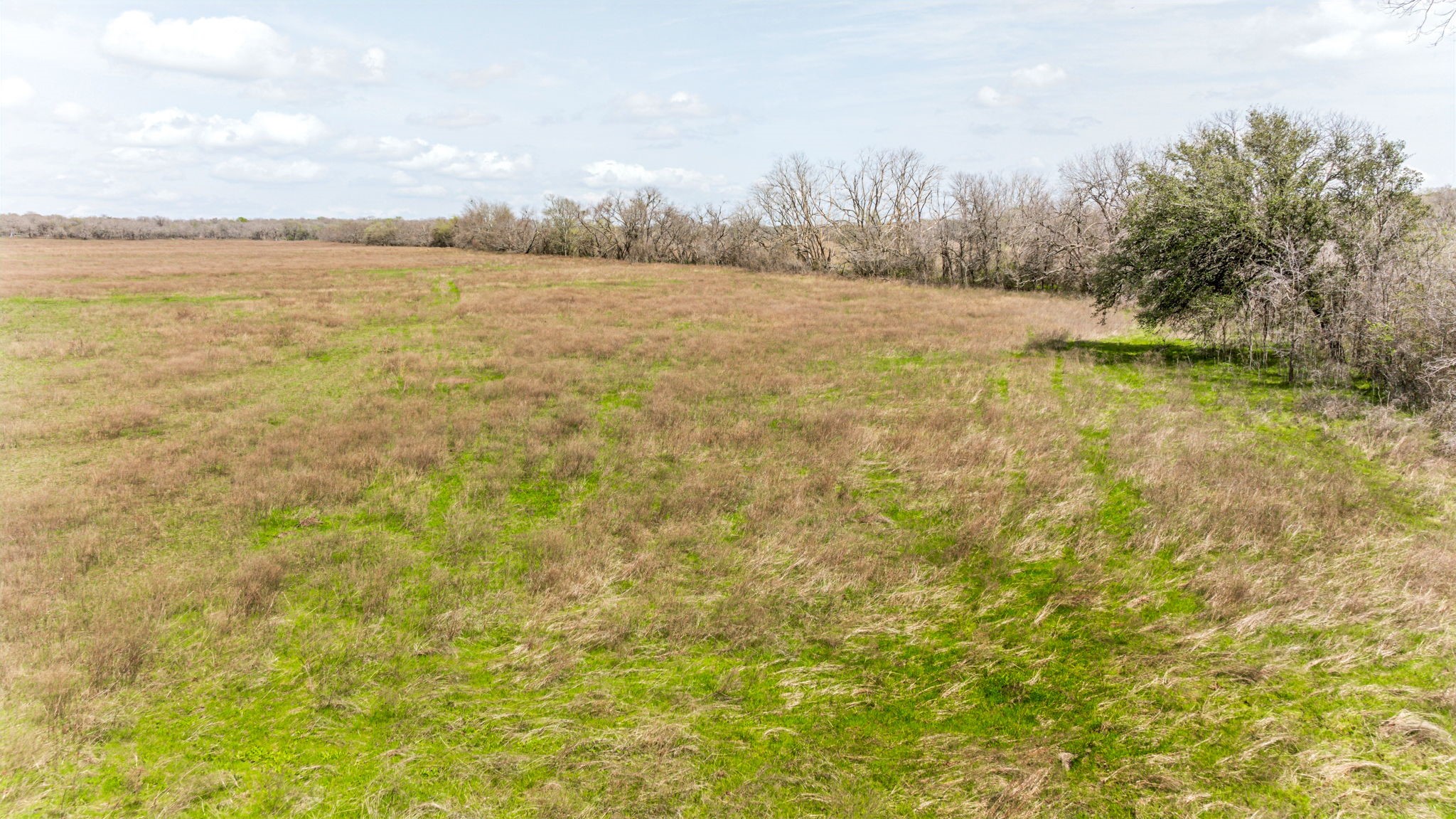 Lot 8 Ranches at Comanche Point , Hico, TX, 76457 | 20829135 | Realty Texas LLC