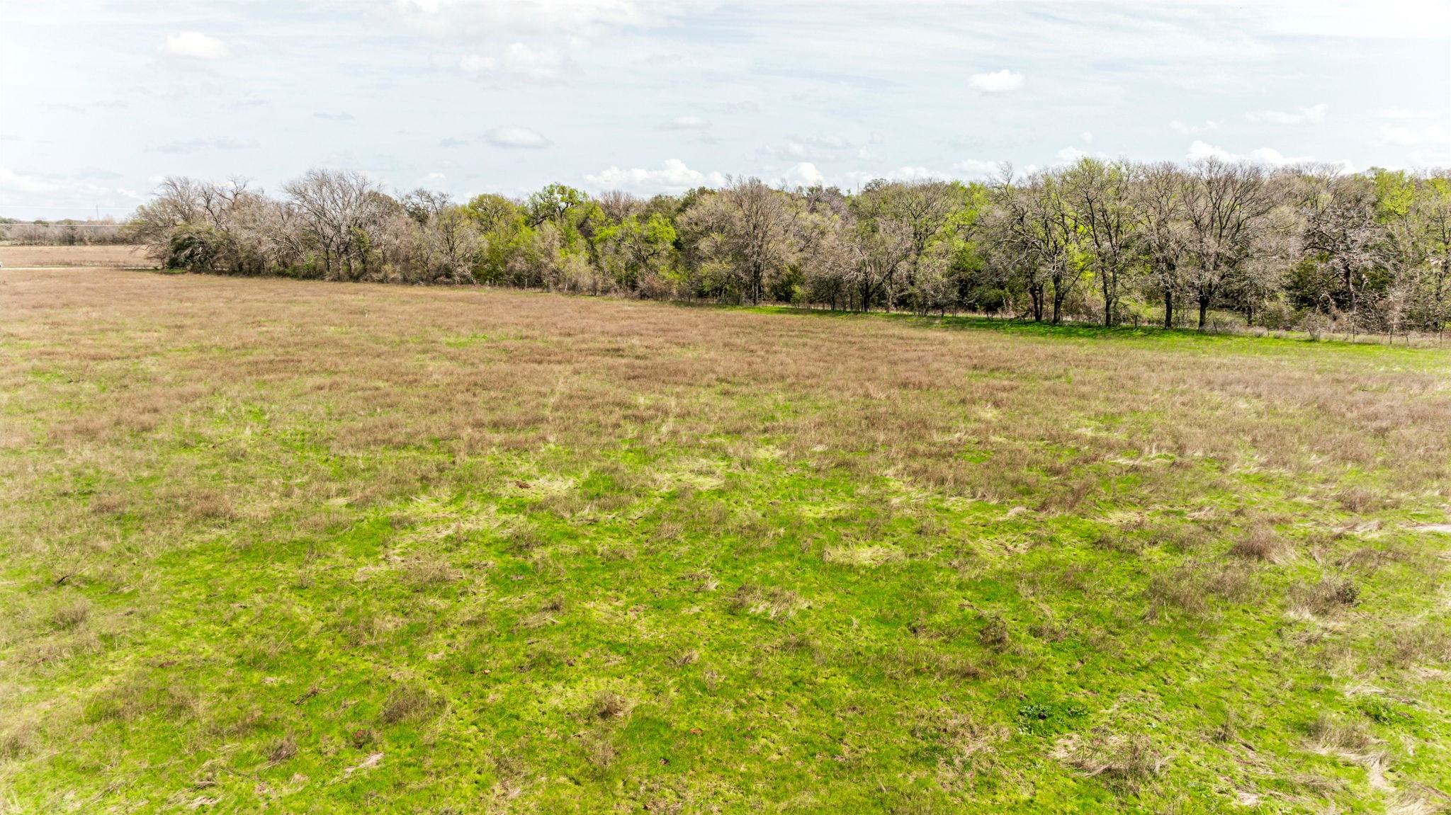 Lot 8 Ranches at Comanche Point , Hico, TX, 76457 | 20829135 | Realty Texas LLC