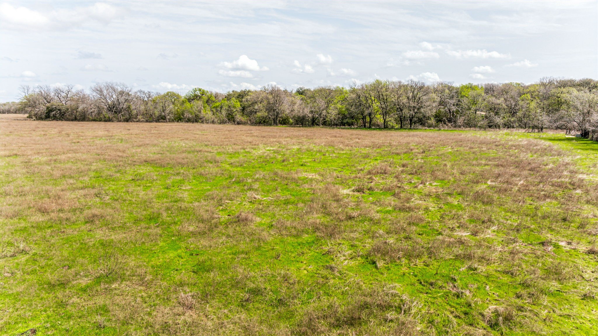 Lot 8 Ranches at Comanche Point , Hico, TX, 76457 | 20829135 | Realty Texas LLC