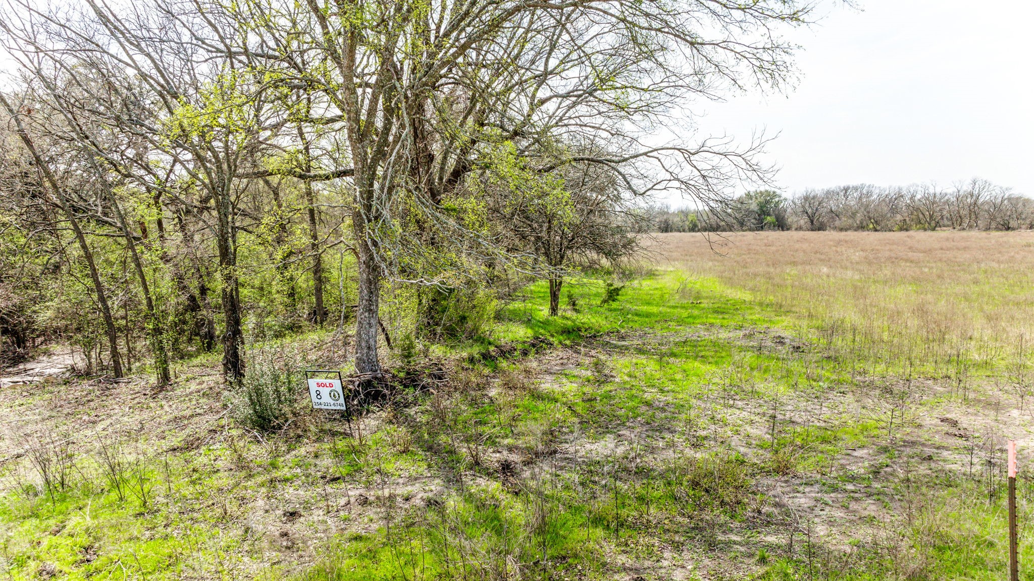 Lot 8 Ranches at Comanche Point , Hico, TX, 76457 | 20829135 | Realty Texas LLC