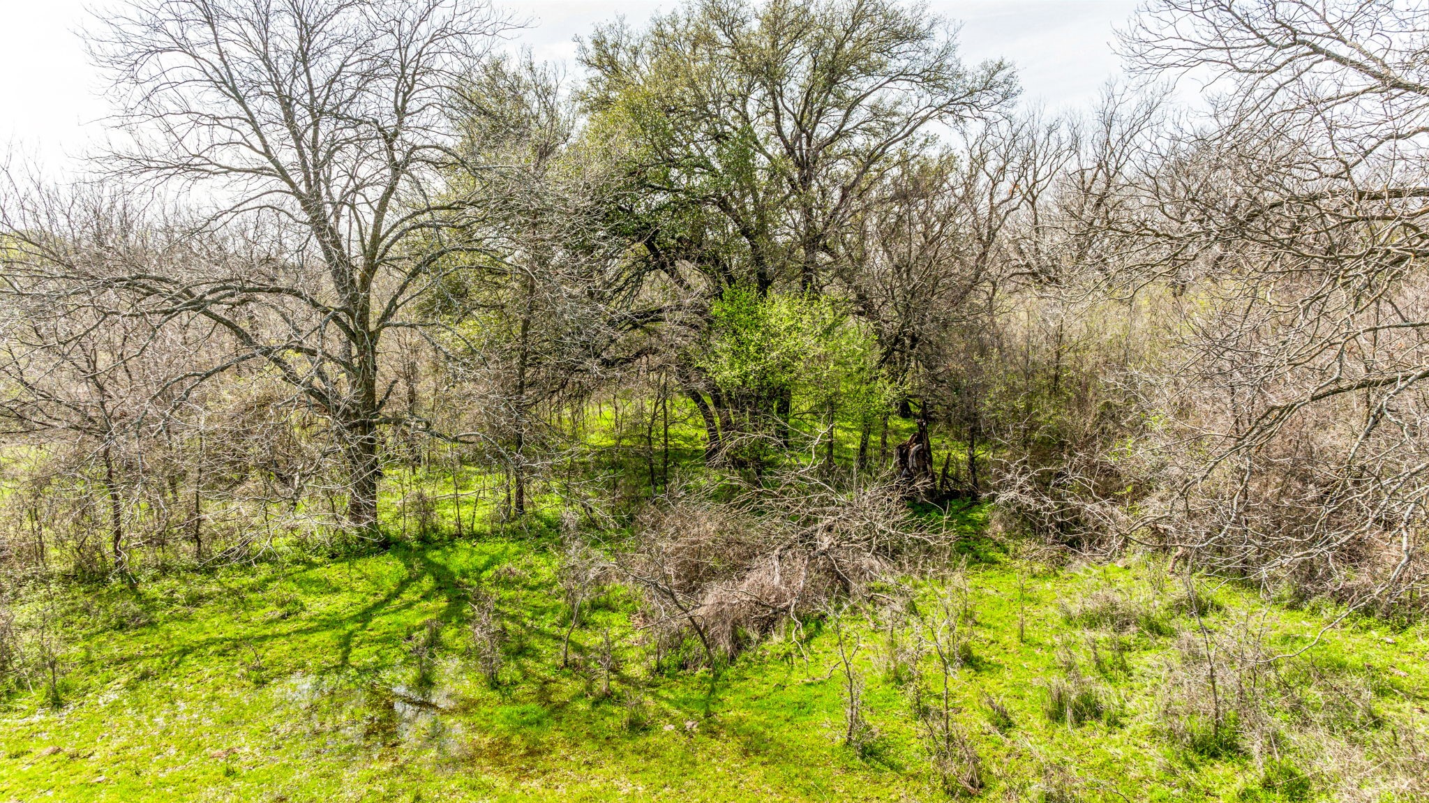 Lot 8 Ranches at Comanche Point , Hico, TX, 76457 | 20829135 | Realty Texas LLC