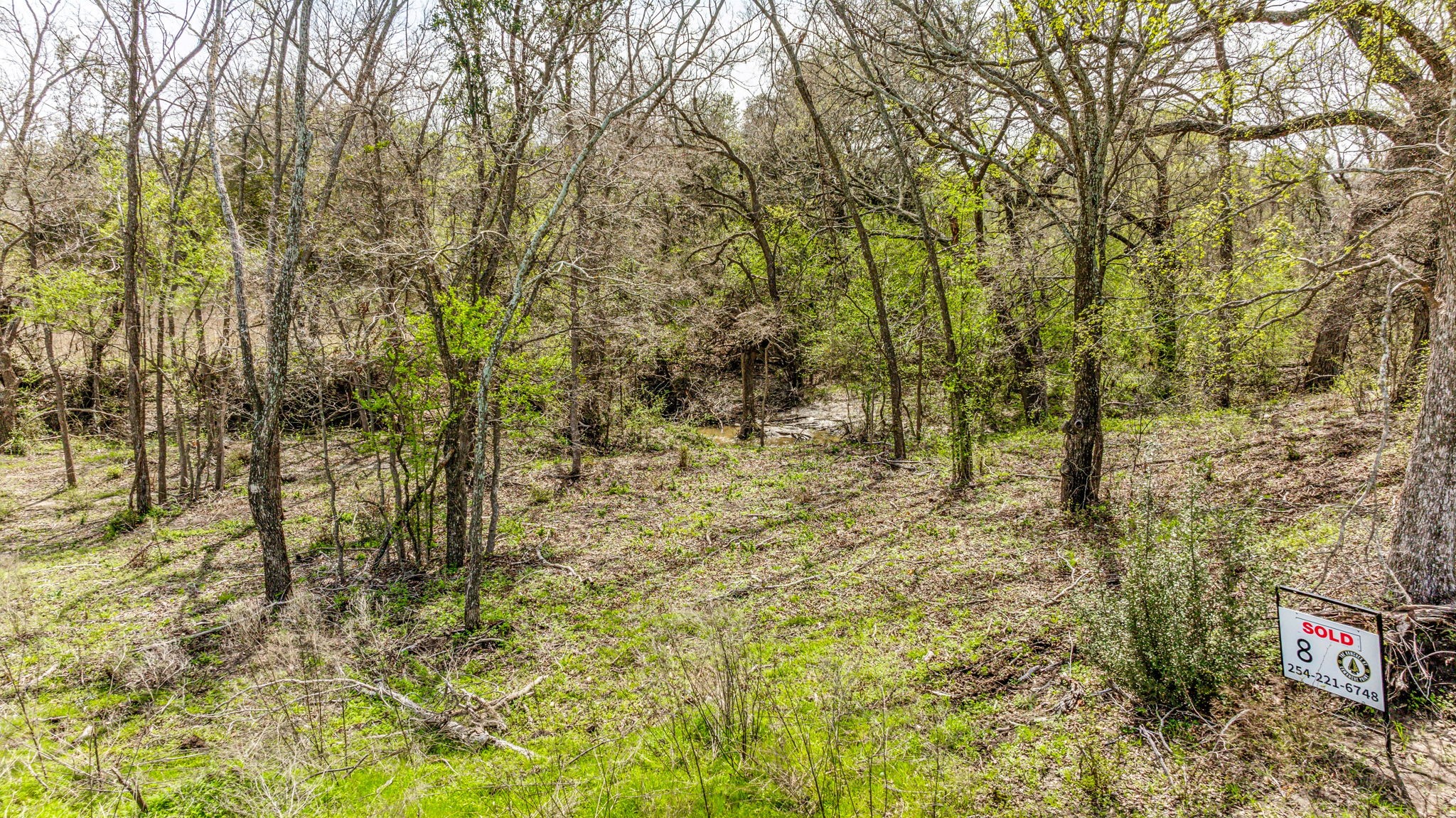 Lot 8 Ranches at Comanche Point , Hico, TX, 76457 | 20829135 | Realty Texas LLC