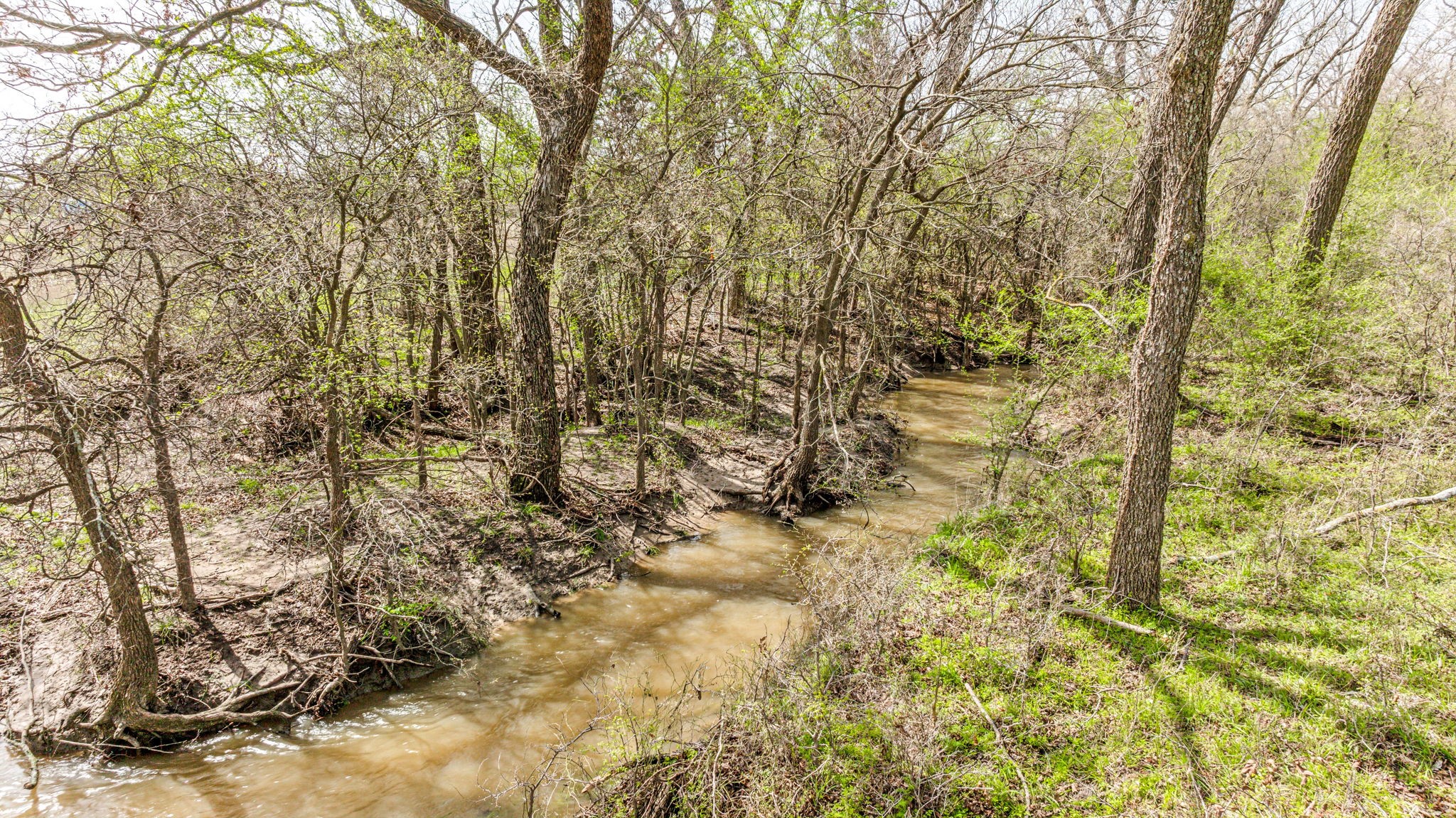 Lot 8 Ranches at Comanche Point , Hico, TX, 76457 | 20829135 | Realty Texas LLC