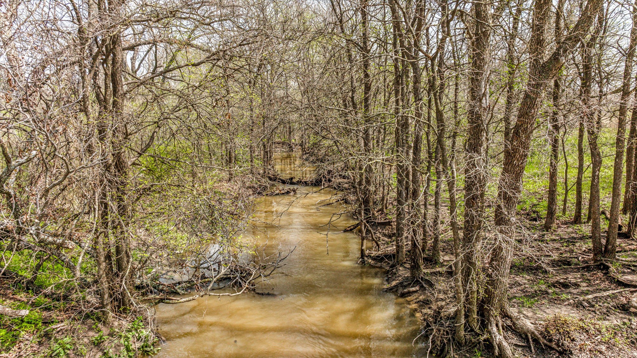 Lot 8 Ranches at Comanche Point , Hico, TX, 76457 | 20829135 | Realty Texas LLC